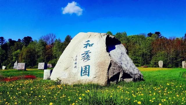 小猫钓鱼正版下载中文版